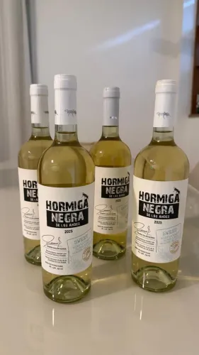 24 garrafas de vinho