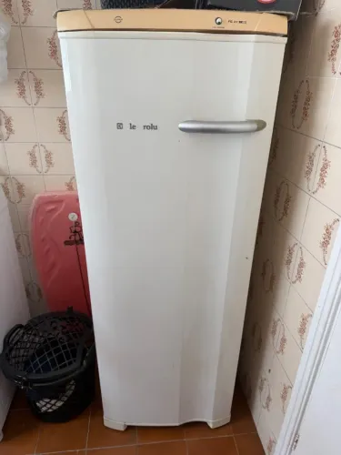 Freezer FE22 eletrolux