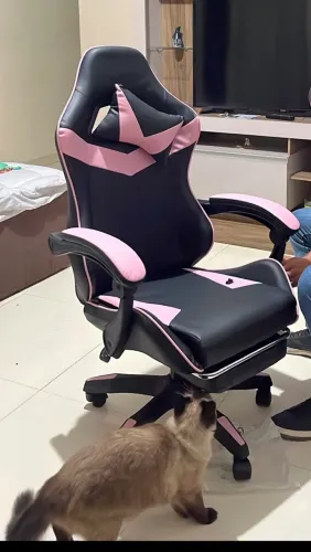 VENDE-SE CADEIRA GAMER PRETA E ROSA ?
