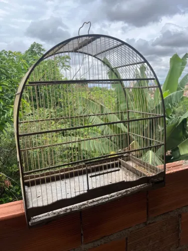 Gaiola