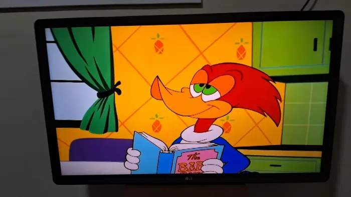 Televisor 