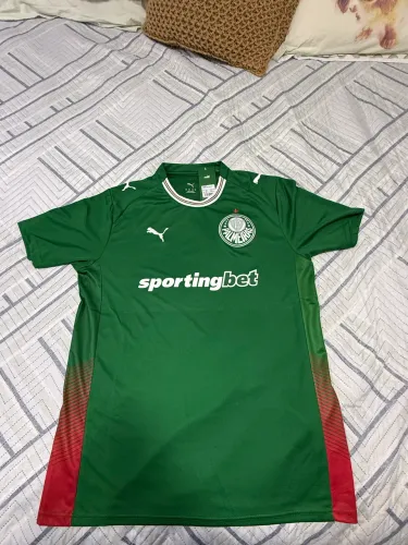 Camisas do palmeiras