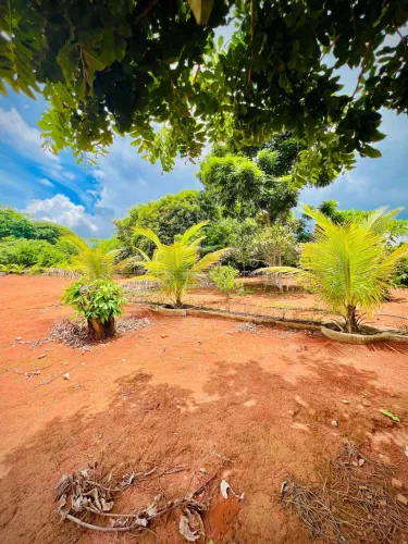 Condomínio Alto da Boa Vista - Terreno de 5.006 m² | Condomínio Alto da Boa Vista | Senado