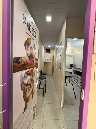 Petshop e banho e tosa