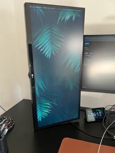 Monitor LG Ultrawide Gamer - 29 Polegadas + Suporte articulado a gás