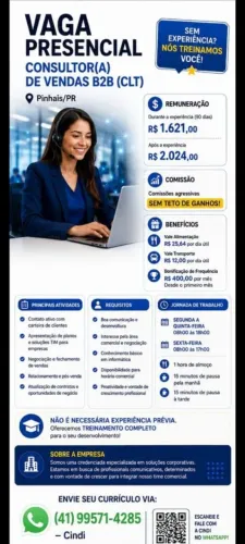 Consultor comercial
