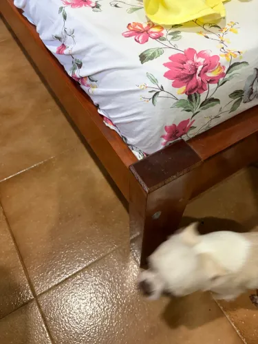 CAMA DE MADEIRA - EXCELENTE