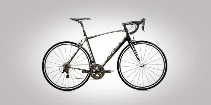 Bicicleta Speed Audax 22v - em carbono