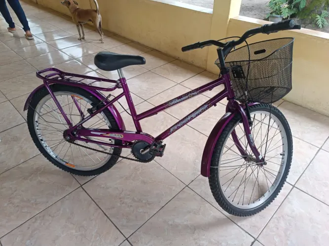 Bicicleta ferminina