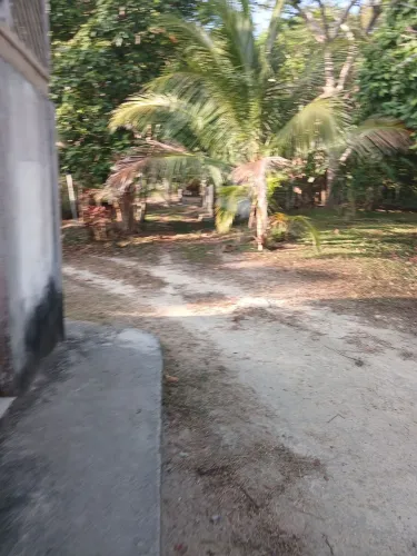 Contrato Trabalhador Rural