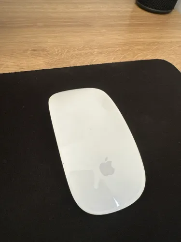 Magic Mouse 2ª G