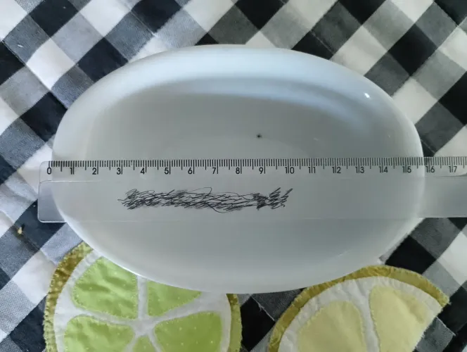 Bowl Travessa Tigela Oval de Porcelana Branca Pequena para Servir