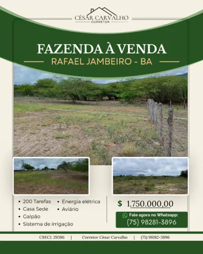 FAZENDA EM RAFAEL JAMBEIRO - 200 TAREFAS