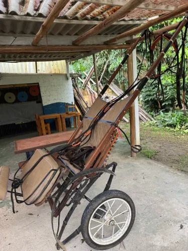 Charrete de passeio 