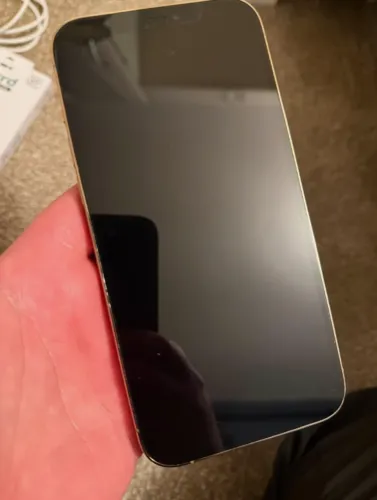 iPhone 12 Pro Max 128GB - 100% de bateria, desbloqueado, ótimo estado - Niterói