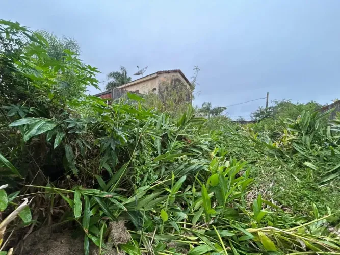 Terreno no balneário Gaivota em Itanhaém, lado praia, medindo 250m² de área total