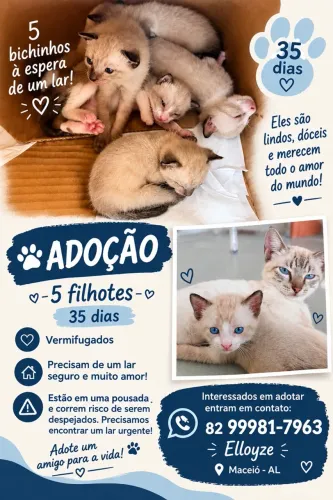Filhotes para Adoção Responsável