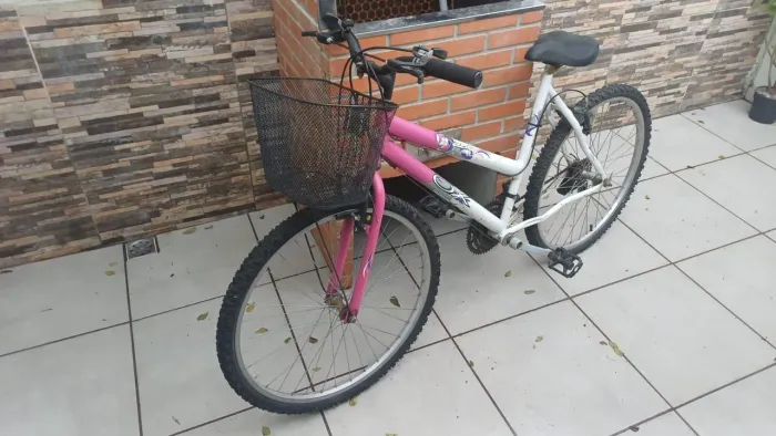 Bicicleta feminina