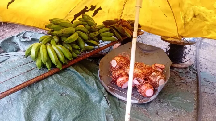Frutas e legumes orgânicos 