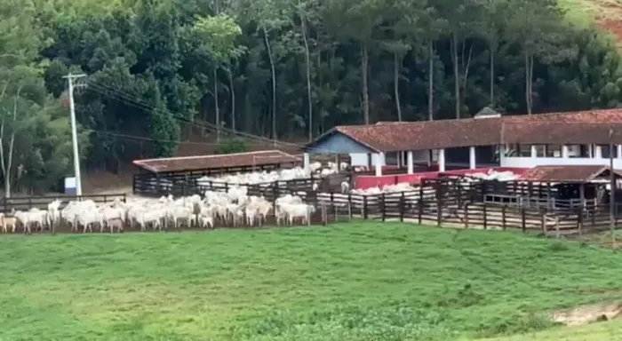 *EXCELENTE FAZENDA A VENDA NO VALE DO PARAÍBA NO ESTADO DE SÃO PAULO-SP* ?? Área Total: 33
