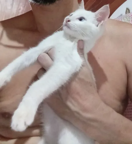 Doação 