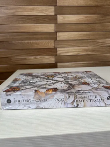 Livro - Um reino de carne e fogo