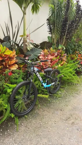 vikingX tuff 25