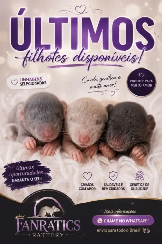 RATOS TWISTER-PARA RESERVA!