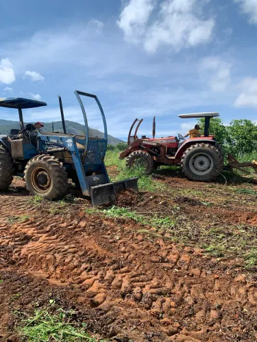 Trator new holland 