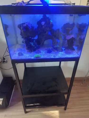 Aquário marinho C/sump trazeiro60x50x40