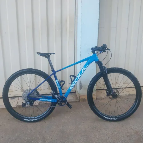 Bicicleta MTB aro 29 - Soul 629