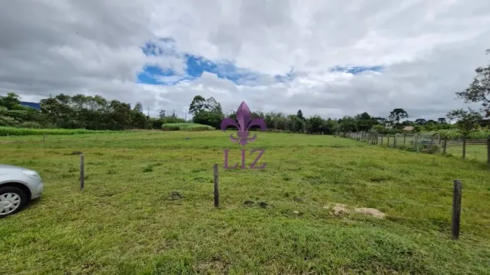 Excelentes terrenos disponíveis em Quatro Barras