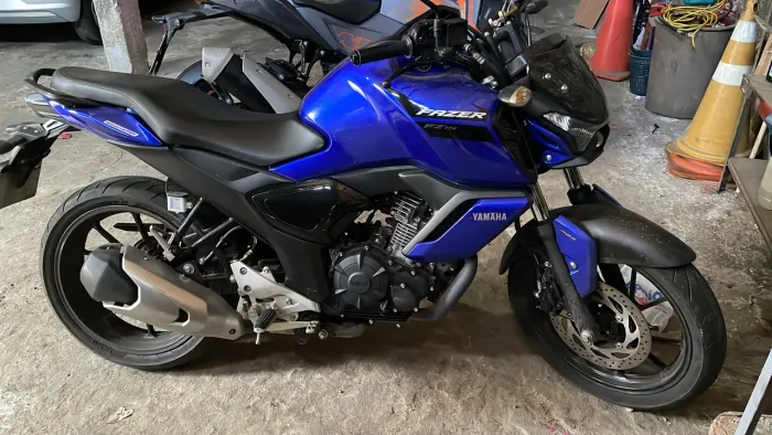 Fz15