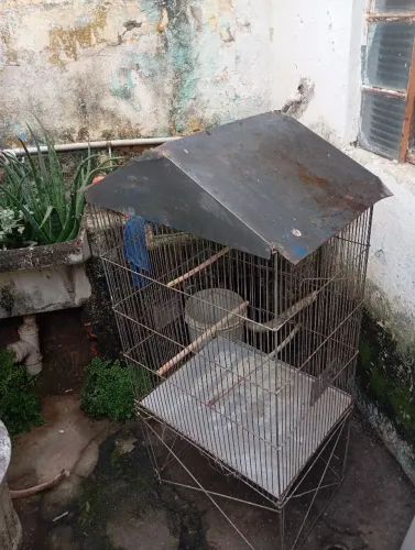 Viveiro e gaiolas para venda