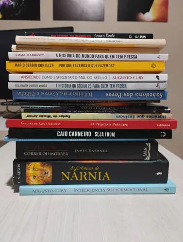 Grande Variedade de Livros e Coleções - Novos e seminovos
