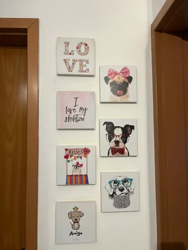 Kit de quadros cães