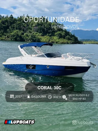 LANCHA CORAL 30C - 2017 (REAL, TRITON, FOCKER, VENTURA, NX)