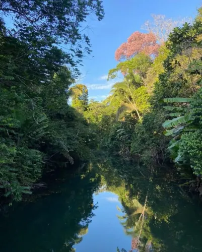 Vendo um Terreno no Condomínio Ecoville