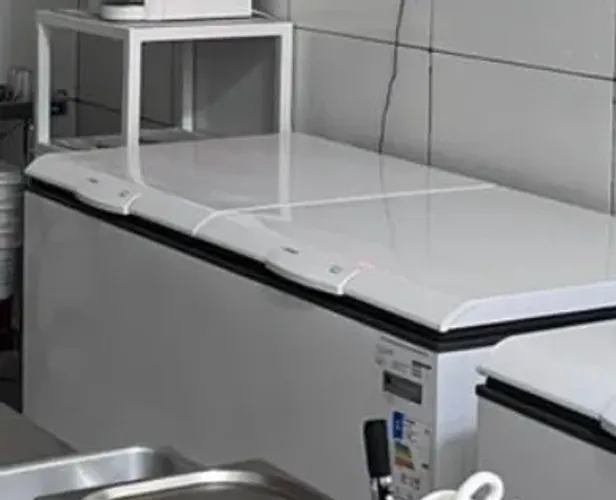Freezer horizontal 528 litros 220V