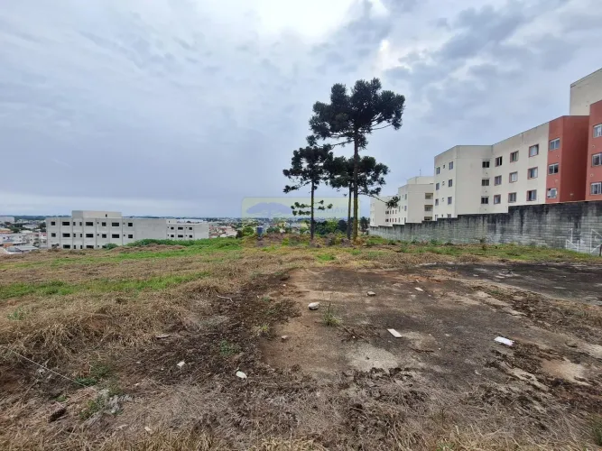 Terreno à venda Jardim Amélia Pinhais/PR