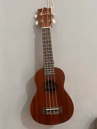 Vendo ukulele spring