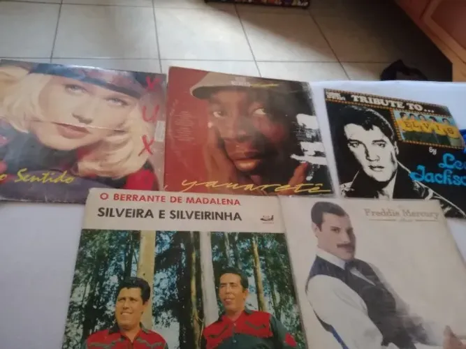 Vendo discos de vinil em ótimo estado de conservação. Tenho mais 100 discos para vencer.