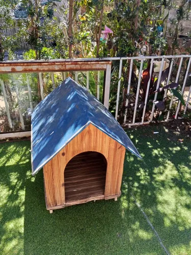 Casinha de cachorro