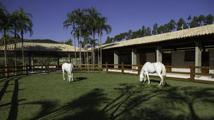 Lançamento Lotes em Condomínio Haras de Alto Padrão a 50min do BH Shopping