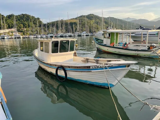 Baleeira Golfinho 28 pés em fibra
