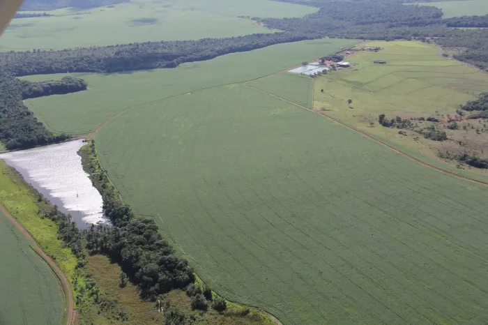 Fazenda 1.210 hec em Campo Verde MT. 900 abertos, 80 milhões.