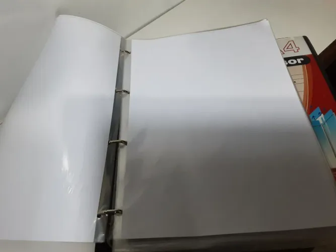 1 Fichário + 400 folhas A4 + 368 sacos plásticos
