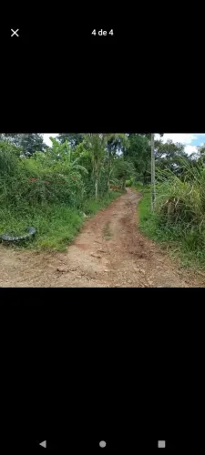 Terreno em Alexandra 10 por 60