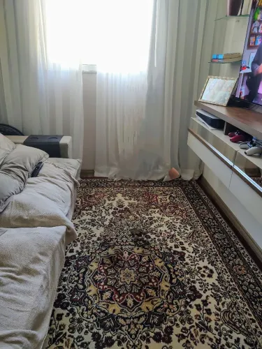 Vendo tapete e passadeira 