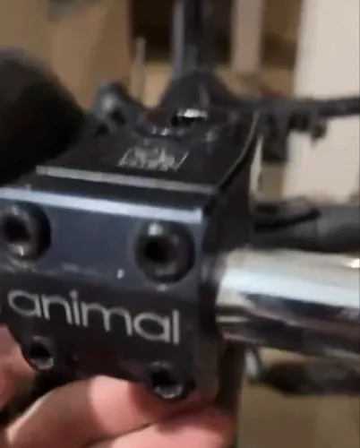 Mesa animal 48mm frontload